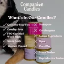 Companion Candles Companion Candles available at Fur Babies in Kingwood, Texas