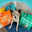 A Pup Above A Pup Above available at Fur Babies in Kingwood, Texas